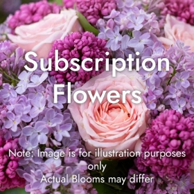 Subscription 3 Months