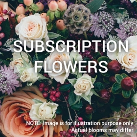 Subscription 12 Months