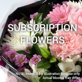 Subscription 3 Months