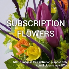 Subscription 6 Months